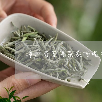 漳州有普洱茶卖吗现在在哪里卖/2023121837072