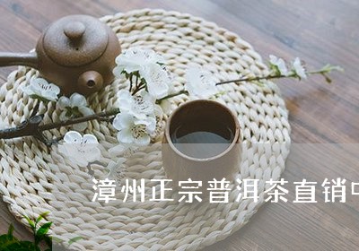 漳州正宗普洱茶直销中心/2023121891603