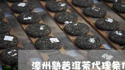 漳州熟普洱茶代理条件/2023061450504