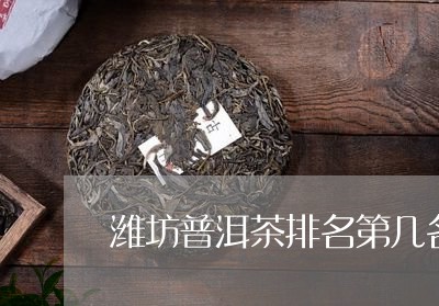 潍坊普洱茶排名第几名/2023121830471
