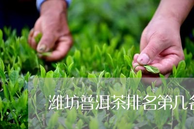 潍坊普洱茶排名第几名了/2023121877361