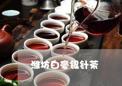 潍坊白毫银针茶/2023112408163