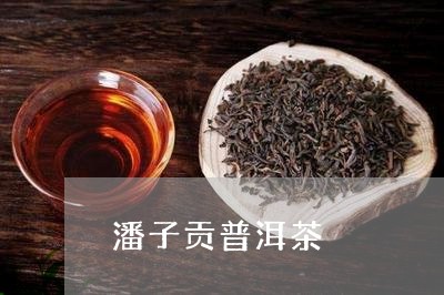 潘子贡普洱茶/2023081889604