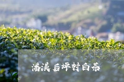 潘溪后坪村白茶/2023060340595