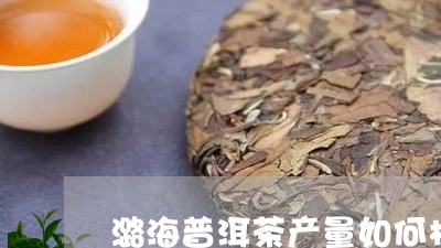 潞海普洱茶产量如何样/2023110761594