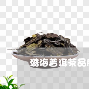潞海普洱茶品牌介绍及特点/2023121829594
