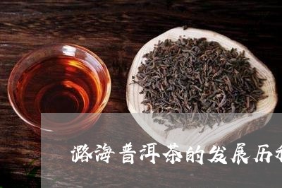 潞海普洱茶的发展历程及特点/2023121870825