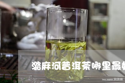 潞麻河普洱茶哪里最好/2023062260594