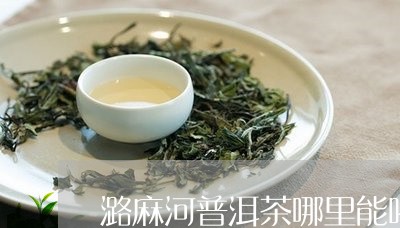 潞麻河普洱茶哪里能喝/2023092879403