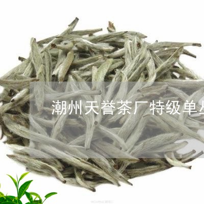 潮州天誉茶厂特级单丛茶价格/2023052683958