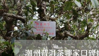 潮州普洱茶哪家口碑好/2023062188472