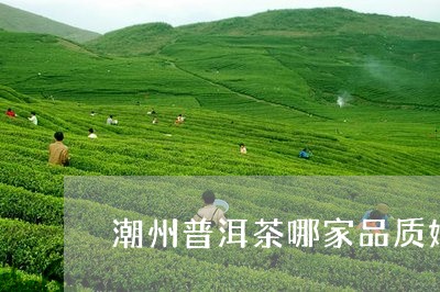 潮州普洱茶哪家品质好/2023100704947