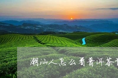 潮汕人怎么看普洱茶膏/2023061519361