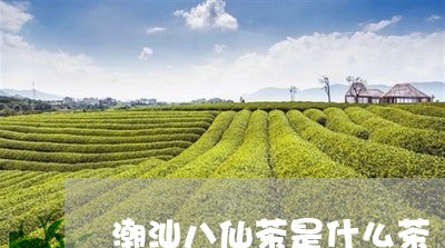 潮汕八仙茶是什么茶/2023042117281