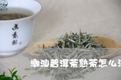 潮汕普洱茶熟茶怎么泡的/2023112711613