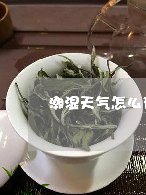 潮湿天气怎么存普洱茶好/2023102547493