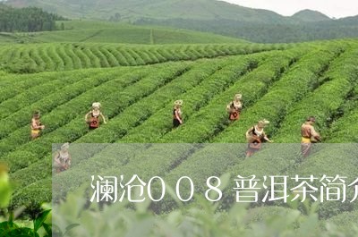 澜沧008普洱茶简介/2023062870837