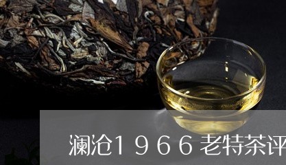 澜沧1966老特茶评/2023060934928