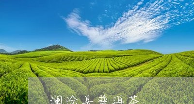 澜沧县普洱茶/2023042820330