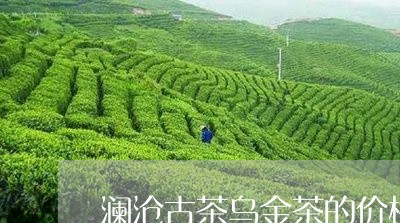 澜沧古茶乌金茶的价格/2023061094837