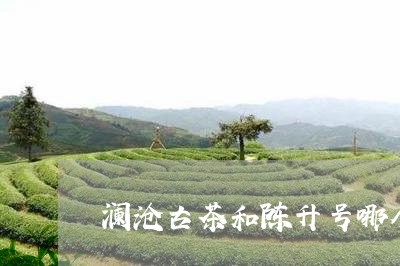 澜沧古茶和陈升号哪个品牌好/2023052665171