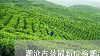 澜沧古茶最新价格澜沧江茶区图/2023053133718