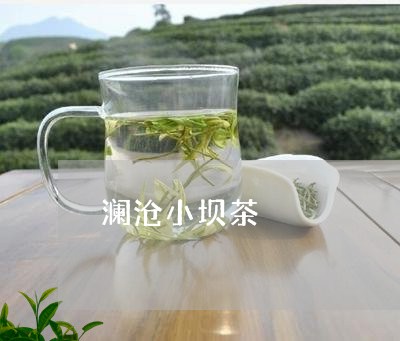 澜沧小坝茶/2023090243139