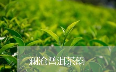 澜沧普洱茶韵/2023042682400