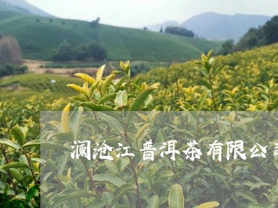 澜沧江普洱茶有限公司/2023110761404