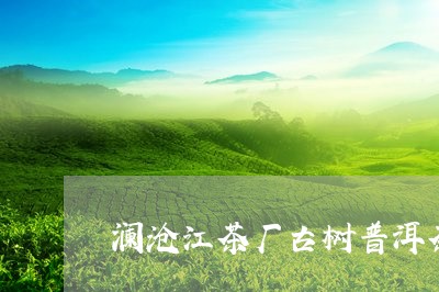 澜沧江茶厂古树普洱茶/2023063092595