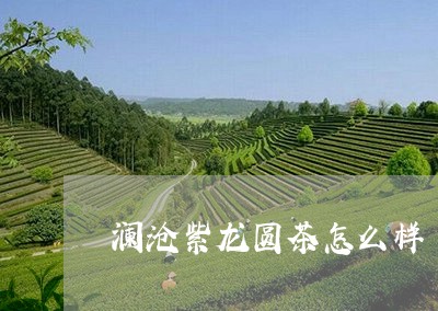 澜沧紫龙圆茶怎么样/2023042336180