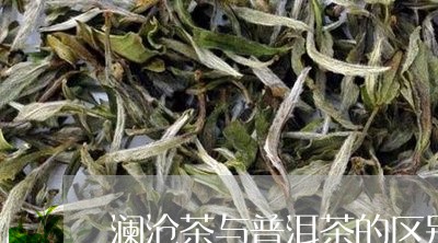 澜沧茶与普洱茶的区别/2023080373138