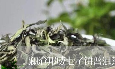 澜沧邦威七子饼普洱茶/2023062182726