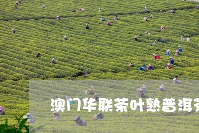 澳门华联茶叶熟普洱茶砖视频/2023052706270