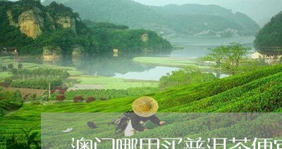 澳门哪里买普洱茶便宜/2023120672792