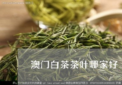 澳门白茶茶叶哪家好/2023072110713