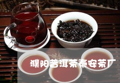 濮阳普洱茶泰安茶厂/2023071176361