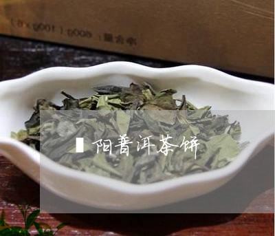 濮阳普洱茶饼/2023042639941