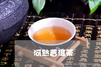 瀍河熟普洱茶/2023042580247