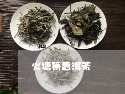 火塘箐普洱茶/2023042765087