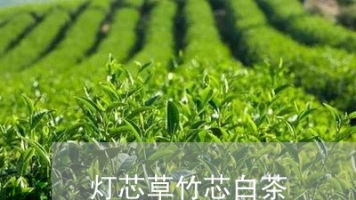 灯芯草竹芯白茶/2023060338371