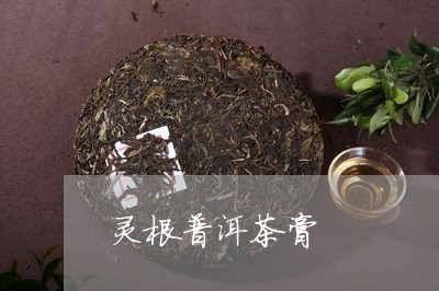 灵根普洱茶膏/2023042950518