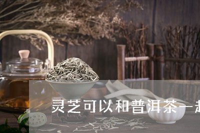 灵芝可以和普洱茶一起煲吗/2023102528615