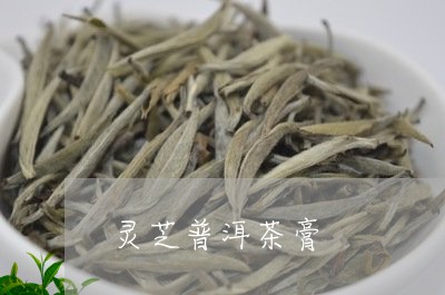 灵芝普洱茶膏/2023042773526