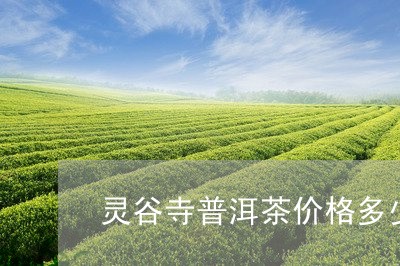 灵谷寺普洱茶价格多少钱一斤/2023121825269
