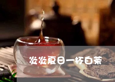 炎炎夏日一杯白茶/2023061826161