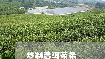 炒制普洱茶条/2023042591221