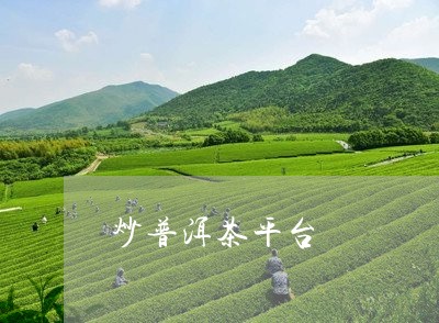 炒普洱茶平台/2023042733470