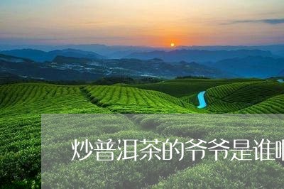 炒普洱茶的爷爷是谁啊图片/2023112545047