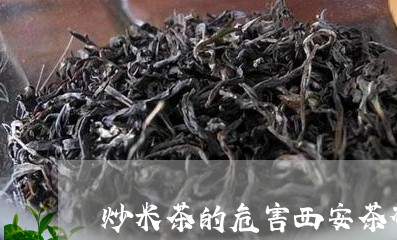 炒米茶的危害西安茶砖茯苓/2023051178279
